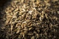 Dry Organic Tarragon Seed Spice