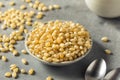 Dry Organic White Popcorn Kernels Royalty Free Stock Photo