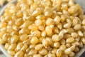 Dry Organic White Popcorn Kernels Royalty Free Stock Photo