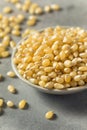 Dry Organic White Popcorn Kernels Royalty Free Stock Photo
