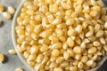 Dry Organic White Popcorn Kernels Royalty Free Stock Photo