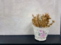 Dry ornamental flowers in pots placed in front of gray walls.