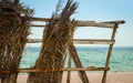 Dry palm branches on the background of the sea and clear sky close up Royalty Free Stock Photo