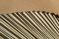 Dry Palm leaf macro texture on brown background detail closeup with copy space. Natural boho interior decor Royalty Free Stock Photo