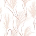 Dry pampas grass seamless vector pattern. Watercolor floral autumn background. Boho fall texture illustration