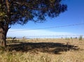 Dry parched Australian farmland during hot summer drought Royalty Free Stock Photo