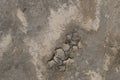 dry, parched, cracked earth textures in a river bed seen from above on very dry drought affected farm land, rural Australia Royalty Free Stock Photo