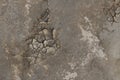 dry, parched, cracked earth textures in a river bed seen from above on very dry drought affected farm land, rural Australia Royalty Free Stock Photo