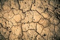 Dry cracked ground texture Royalty Free Stock Photo