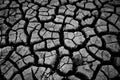 Dry, Parched Land