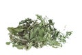 Dry parsley i spread on the table Royalty Free Stock Photo