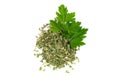 Dry parsley leaves isolated on white background. Dry parsley spice. Royalty Free Stock Photo