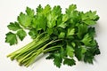 Dry Parsley on white background Royalty Free Stock Photo