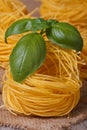Dry pasta nest closeup with green basil on the table. Royalty Free Stock Photo