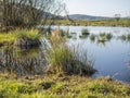 Dry patches of grass on the border of a lake in Switzerland