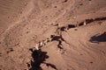 Dry pattern in San Pedro de Atacama desert Royalty Free Stock Photo