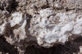 Dry salty pattern in San Pedro de Atacama desert Royalty Free Stock Photo