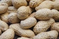 Dry peanuts in peel texture close up Royalty Free Stock Photo