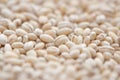 Dry pearl barley grain seed close up textured background, Selective soft  focus Royalty Free Stock Photo