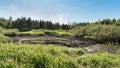 A dry peat bog surrounded by green grass, bushes and trees, pouring summer sun on the blue sky, contrasting landscape of the wild Royalty Free Stock Photo
