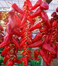 Dry peppers: Pimientos Choriceros, Royalty Free Stock Photo