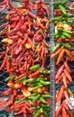 Dry peppers: Pimientos Choriceros Royalty Free Stock Photo