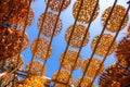 Dry Persimmon fruit production under sun in factory Royalty Free Stock Photo
