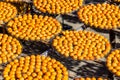 Dry Persimmon fruit production under sun in factory Royalty Free Stock Photo