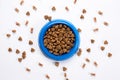 Dry pet food in bowl on white background top view Royalty Free Stock Photo