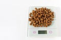 Dry pet food for cats, dogs on electronic scales. Cat and dog diet. Dietary medical nutrition for pets. Pet weight
