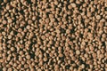 Dry pet food texture background. Food pattern. Chewing treats for pets. Isolation. Your text space.Small brown round pieces.