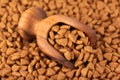 Dry pet food in wooden scoop. Pile of granulated animal feeds. Granules of good nutrition for dogs and cats