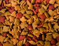 Dry pets food background Royalty Free Stock Photo