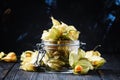 Dry physalis, dark background, selective focus