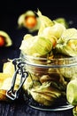 Dry physalis, dark background, selective focus