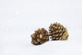 Dry pine cone flower painted in gold on white sand Royalty Free Stock Photo