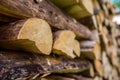 Dry pine fire  wood in focus , shallow depth of field Royalty Free Stock Photo