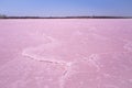 Dry pink salt lake in Australian Desert. Royalty Free Stock Photo