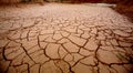 Dry place where a lake used to work Royalty Free Stock Photo