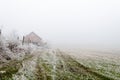 The first snow in the plains of Vojvodina. Novi Sad  Serbia Royalty Free Stock Photo