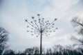 Dry plant, umbrella head with seeds on stem, soft blurry cloudy sky background. Minimalism Royalty Free Stock Photo