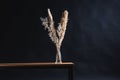 dry plants and reed in vase on bench in dark room