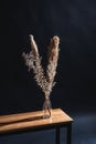 dry plants and reed in vase on bench in dark room