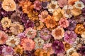 Dry Plants Seamless Pattern, Decorative Twigs, Seeds and Flowers Top View, Dried Flowers Endless Tile Royalty Free Stock Photo