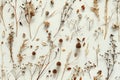 Dry Plants Seamless Pattern, Decorative Twigs, Seeds and Flowers Top View, Dried Flowers Endless Tile Royalty Free Stock Photo