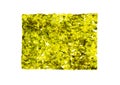 Dry plates of sea kale isolated white background Royalty Free Stock Photo