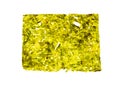 Dry plates of sea kale isolated white background Royalty Free Stock Photo