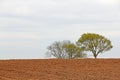 Dry plowed earth agricultural land