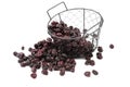 Dry plum or prune fruit. Diets Royalty Free Stock Photo