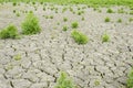 Dry pond with cracked earth 12 Royalty Free Stock Photo